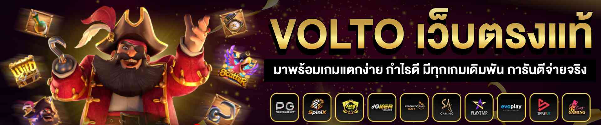 แบนเนอร์เว็บ volto